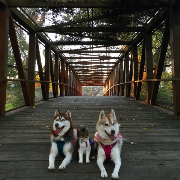 nq2mffm2sqs