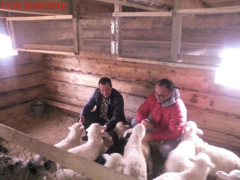 Заступник голови ОДА у спортивках відвідав Верховинщину