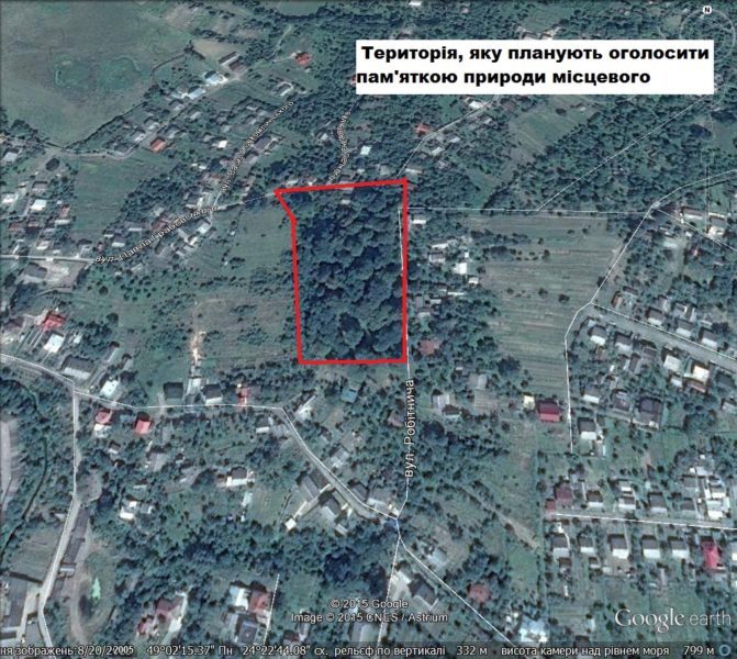 В Калуші з’явиться перша ботанічна пам’ятка природи «Височанські дуби» (ФОТО)