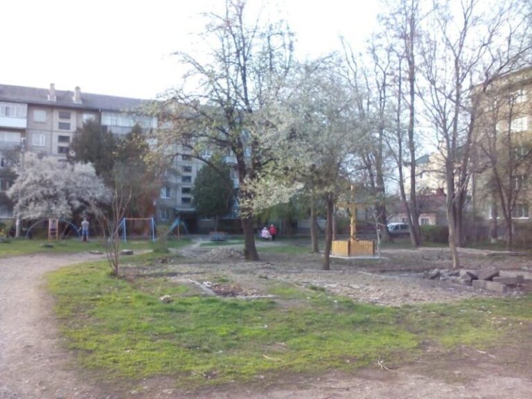Франківець забрав на свою ділянку торф і кущі зі скверу, влаштованого за бюджетні кошти