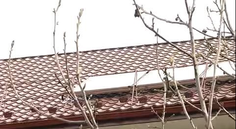 Городенківська лікарня використовує сонячну енергетику (ВІДЕО)