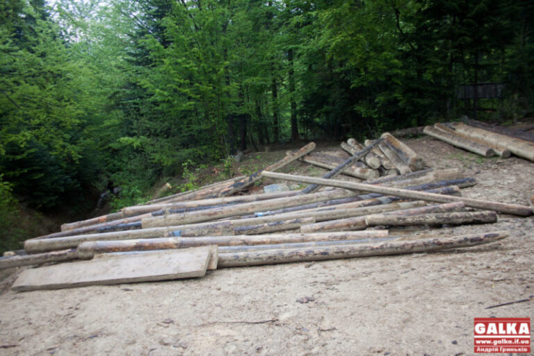 Франківцям розкажуть, як вплинути на вирубку лісів у Карпатах