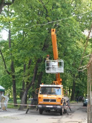 У міському парку почали обрізати аварійні дерева (ФОТО)