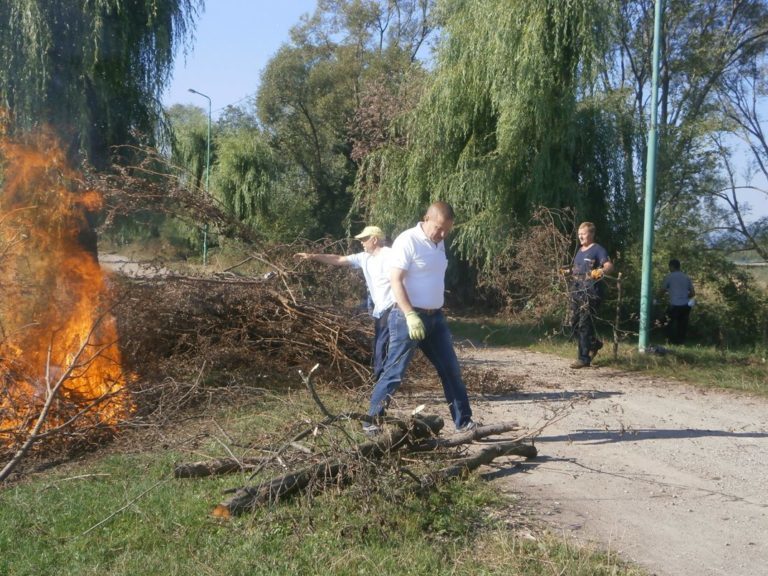 Свідомі надвірнянці провели загальноміську толоку (ФОТО)