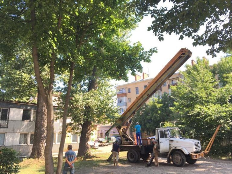 На вулиці Заклинських почали зрізати 80-річні тополі (ФОТО)