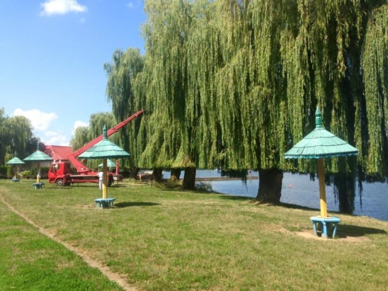 Над міським озером підстригають верби (ФОТО)