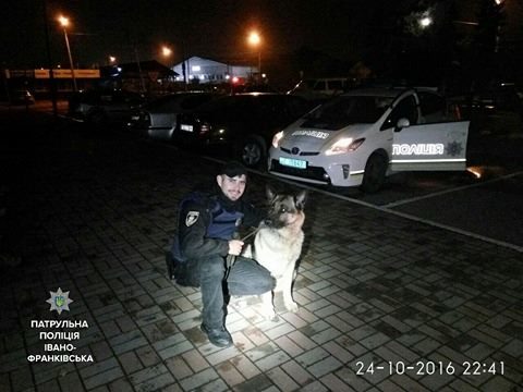 Патрульні взяли на тимчасовий прихисток блукаючу німецьку вівчарку – шукають власника (ФОТО)