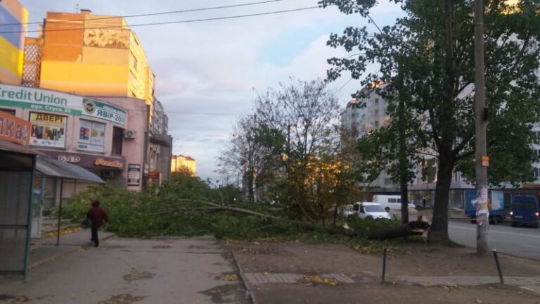 На Стуса вітер повалив величезну тополю на тротуар (ФОТО)