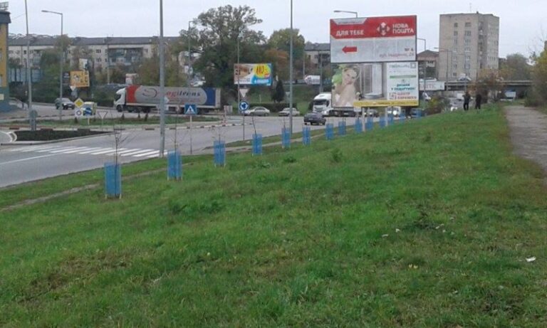 В Івано-Франківську з’явиться алея райських яблунь (ФОТО)
