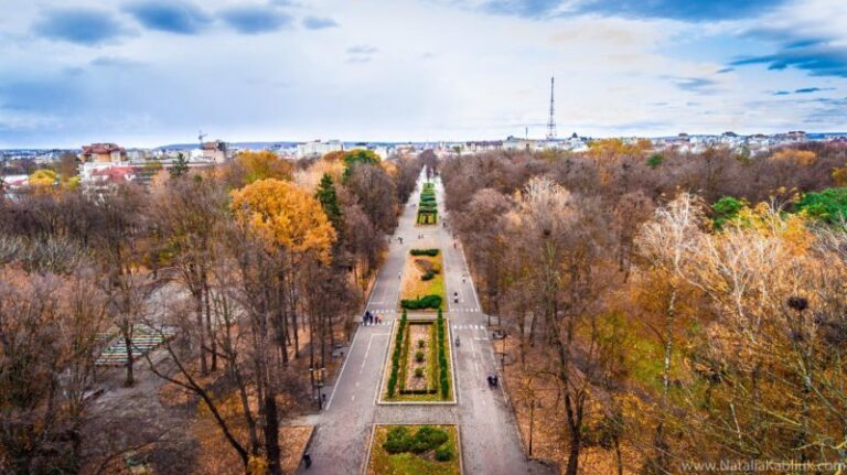 Бігова доріжка, дерев’яні пляжі: у Франківську розповіли, як хочуть реконструювати міський парк