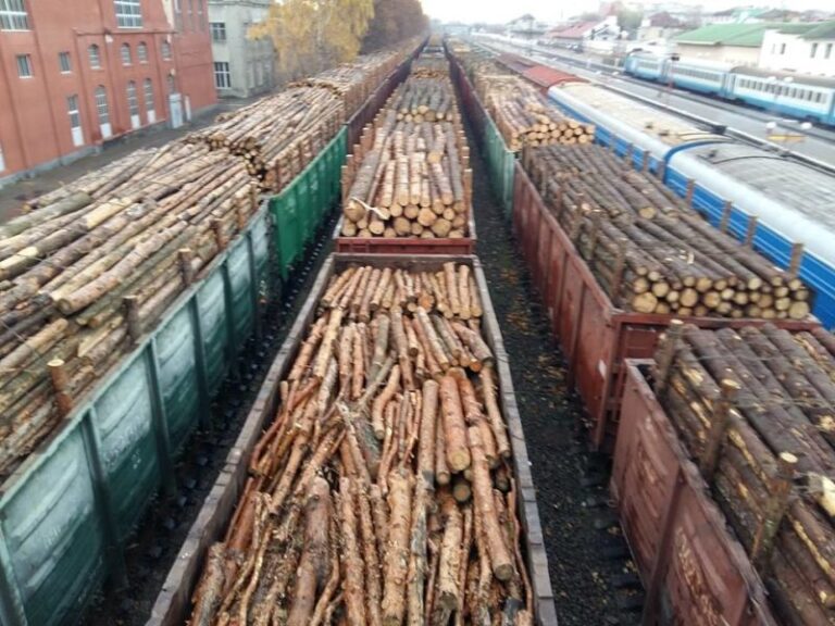 Журналісти розбиралися, звідки і куди возять ешелони лісу через Івано-Франківськ (ВІДЕО)