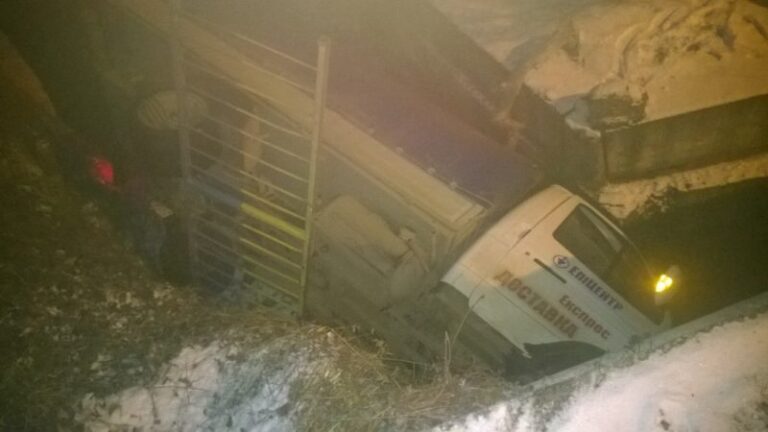 Найкумедніше ДТП року: під Франківськом неуважний водій знайшов свій фургон під мостом (ФОТО)