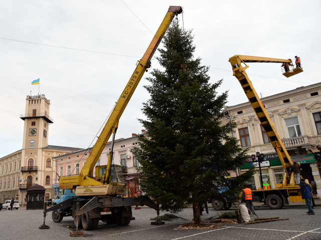 У Коломиї встановили головну новорічну ялинку (ФОТОФАКТ)