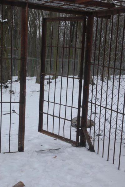 Прикарпатців закликають допомогти пофарбувати вольєр для ведмедів у природному парку
