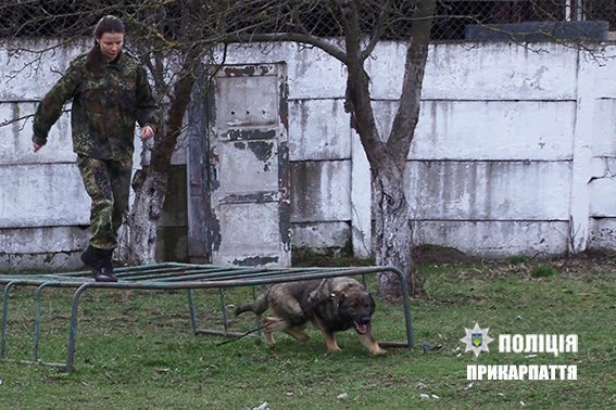 У Франківську з’являться додаткові патрулі поліції з кінологами