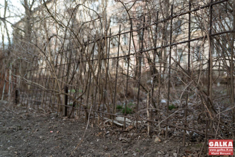 У МІУК кажуть, що 70-річну франківку оштрафували не за висаджені квіти, а за “смітярку”