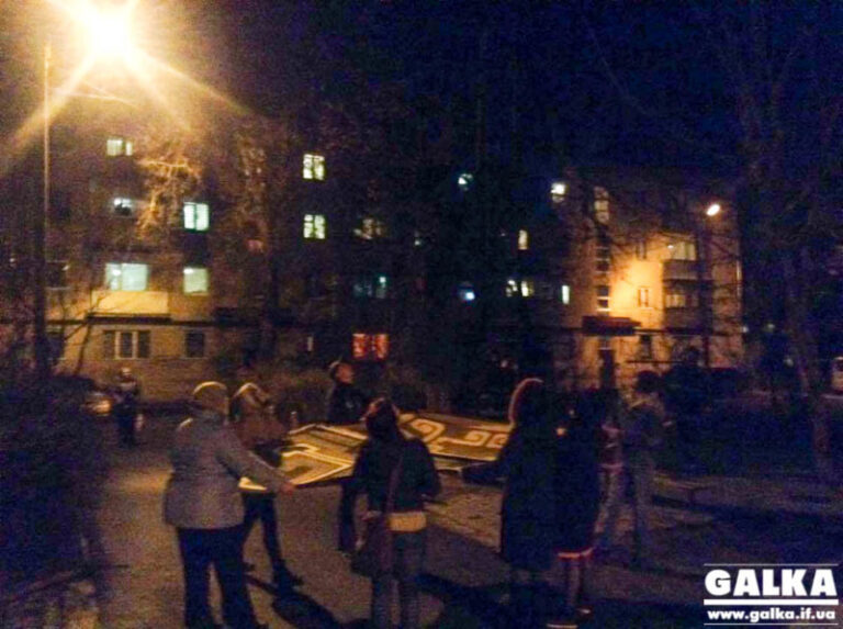Місія “врятувати Фелікса”: рятувальники та небайдужі годину знімали кота з верхівки дерева (ФОТО, ВІДЕО)
