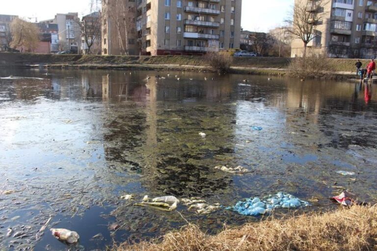 Пляшки, пакети та інший непотріб: озеро на БАМі вражає занедбаністю (ФОТО)
