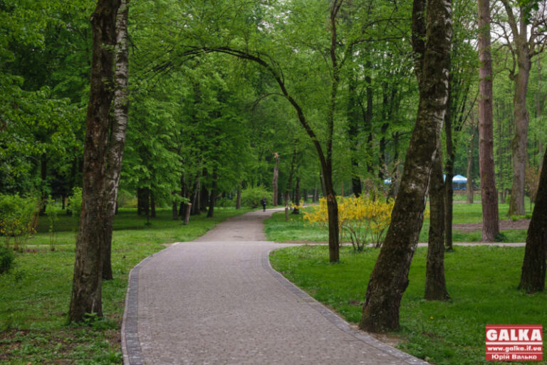 Щоб уникнути крадіжок, міський парк пропонують патрулювати