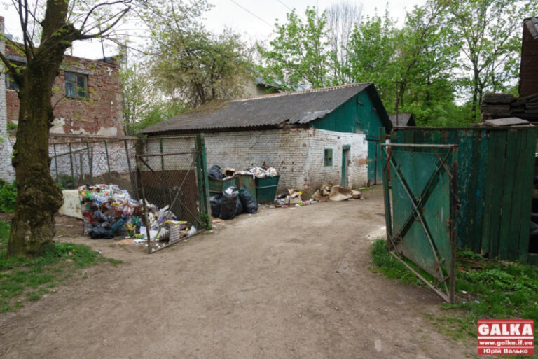 У “Центрі розвитку міста та рекреації” розповіли, куди поділися овечки з парку