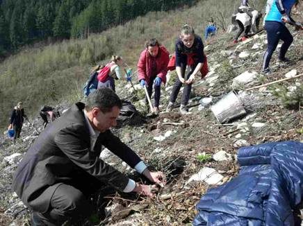 Голова Верховинської РДА у діловому костюмі висаджував ліс (ФОТО)