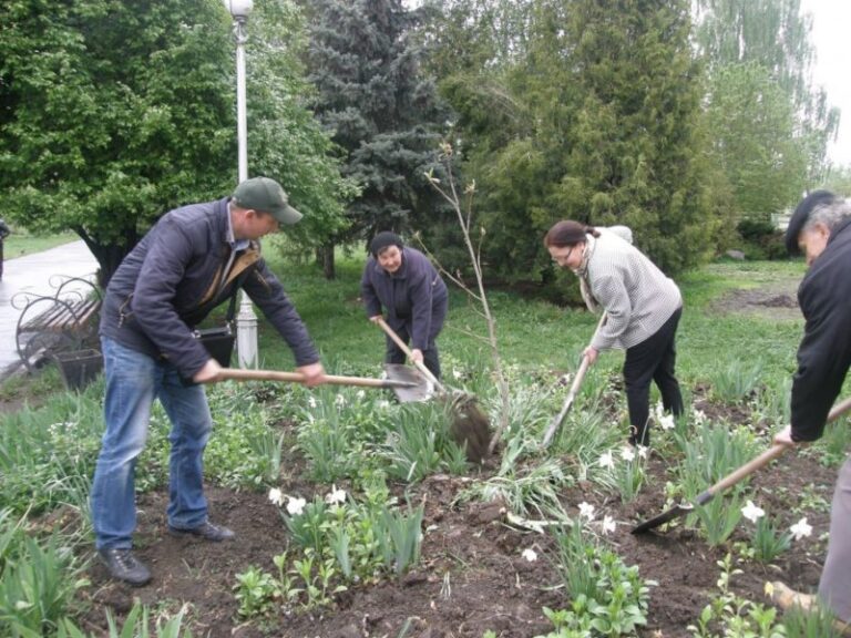 Калушани разом із представниками Корпусу миру і Всесвітнього фонду охорони дикої природи висадили магнолії