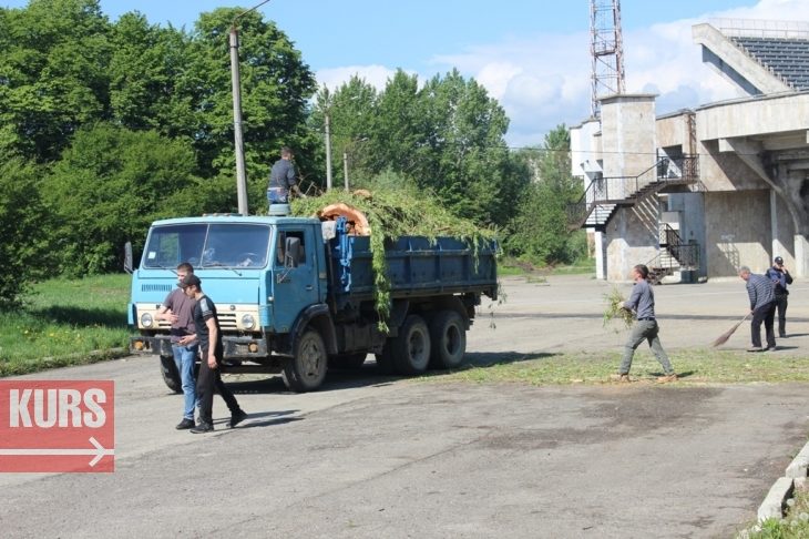 На підприємця, який незаконно зрізав дерево поблизу “Руху”, склали протокол (ФОТО)