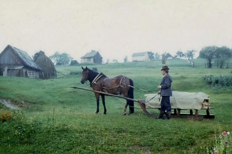 Франківський фотограф опублікував архівні фото, зняті на Гуцульщині (ФОТО)