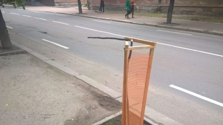 На Коновальця поламали саджанці лип (ФОТОФАКТ)