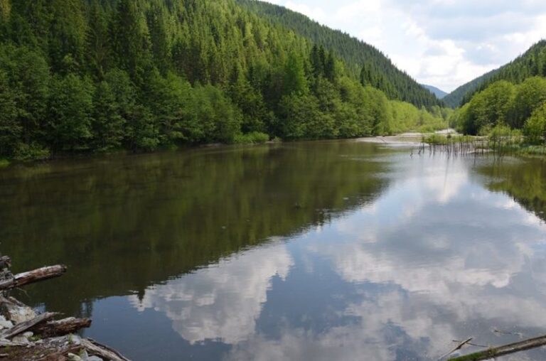У мережі опублікували світлини мальовничого села Перкалаба (ФОТО)