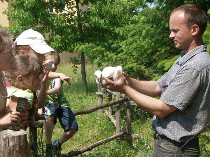 Маленьких франківців та їхніх батьків кличуть на екскурсію у Центр реабілітації диких твари