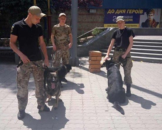 У центрі Франківська дітям показували, як працюють кінологи (ФОТО)