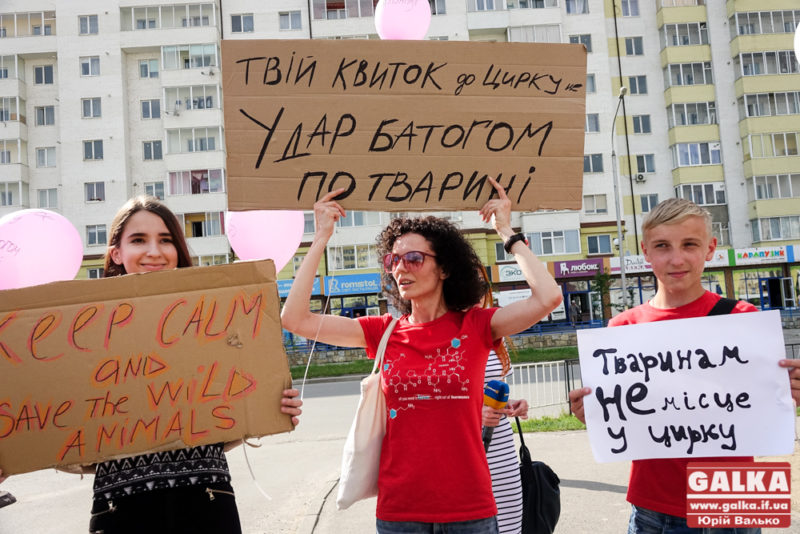 Твій квиток – це удар батогом по тварині: у Франківську небайдужі пікетували мандрівний цирк (ФОТО)