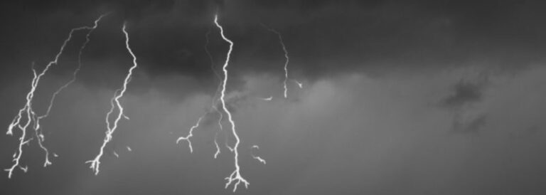 У Рожнятові блискавка влучила у дерево. Знадобилася допомога рятувальників
