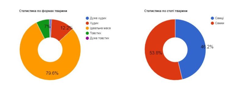 бездомні собаки
