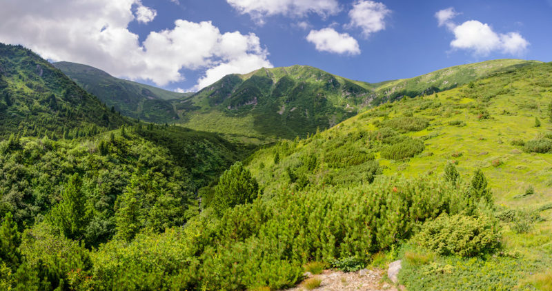 бребенескул