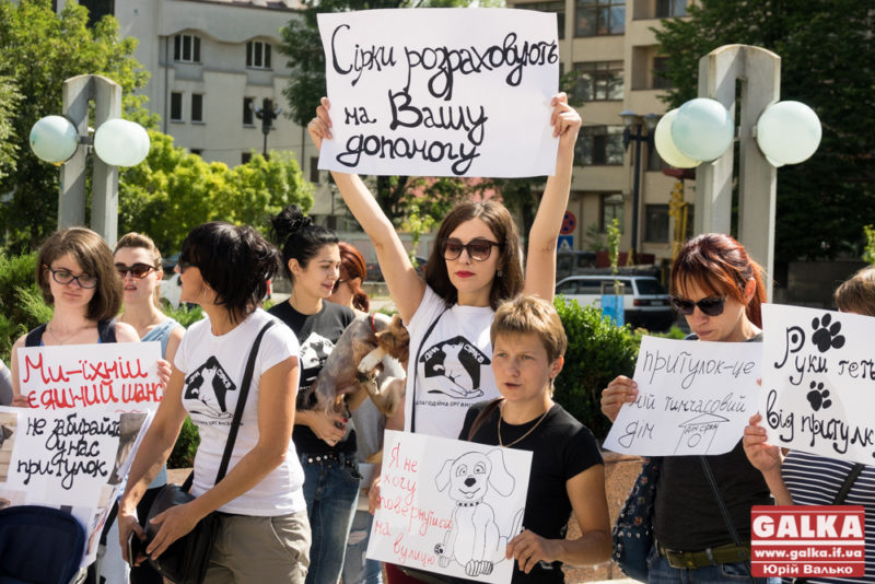 “Двісті собак завтра будуть у вас у дворах”. Волонтерки “Дому Сірка” влаштували мітинг під Білим домом (ФОТО)