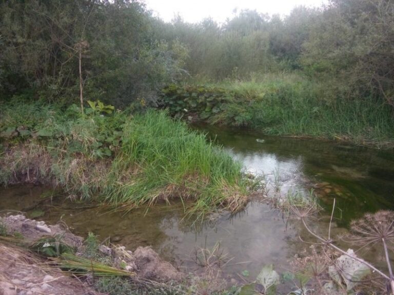 У Калуші почали обстежувати русло Млинівки (ФОТО)