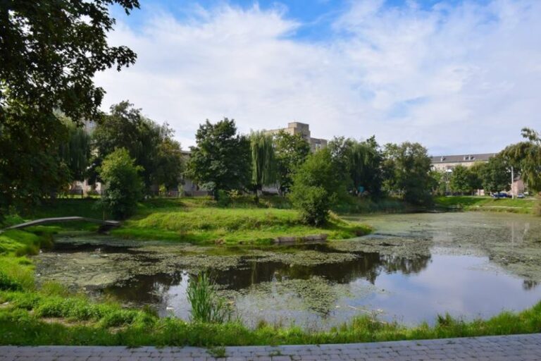 Озеро на “БАМі” планують почистити, а територію довкола облагородити (ФОТО)