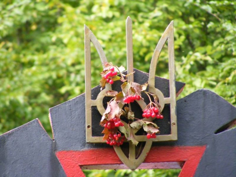 На Прикарпатті відзначили  73-тю річницю бою у Братовому лісі (ФОТО)