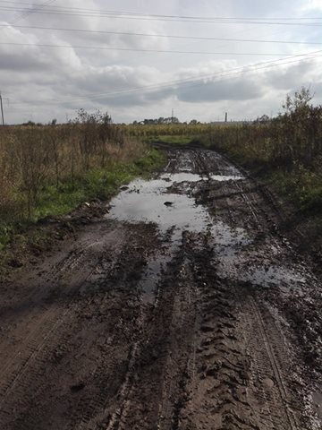 Волонтери “Дому Сірка” просять небайдужих облаштувати проїзд до притулку тварин
