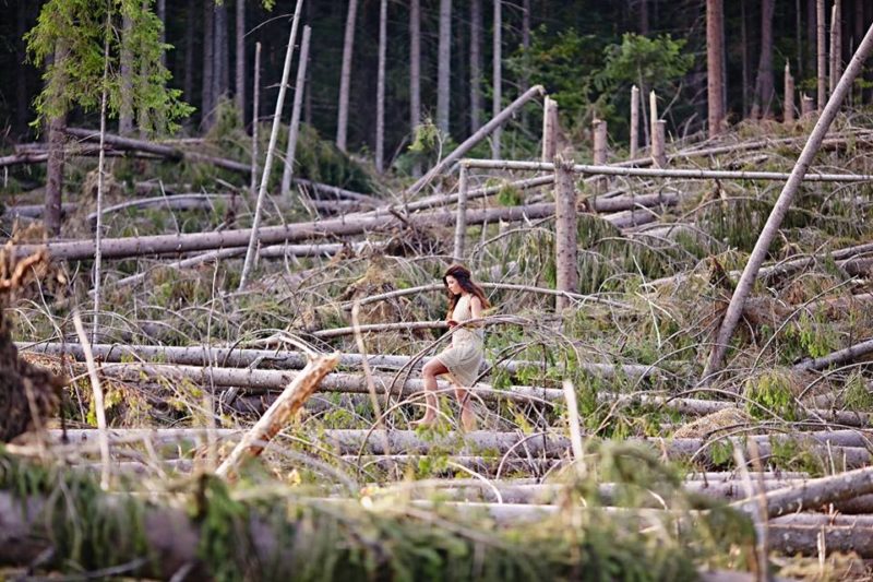 Руслана знялася у дивовижній фотосесії на захист карпатських пралісів (ФОТО)