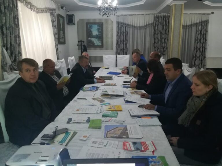 Еколог розповів, чим загрожує використання енергії річок та біомаси для Прикарпаття