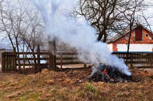 Головний комунальник міста закликає франківців компостувати листя, а не палити