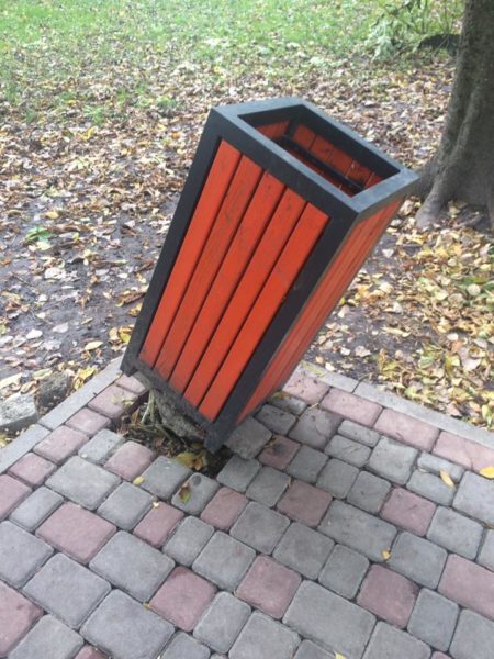 Замало каші їв: у парку на Молодіжній вандал хотів викрасти нові смітники (ФОТО)