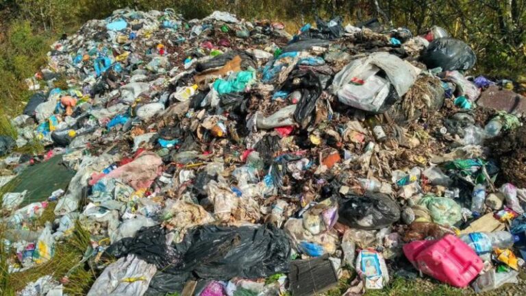 Із села на Долинщині за три тижні не вивезли львівське сміття (ФОТО)