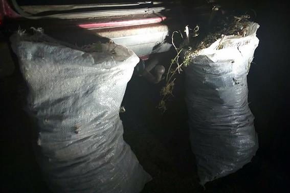 У Тлумачі поліціянти виявили п’яного водія з двома мішками наркотиків (ФОТО)