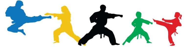 Франківські таеквондисти позмагаються за путівку на чемпіонат Європи