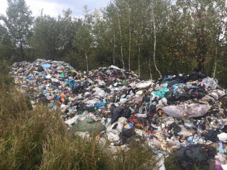 Мешканка Долинщини натрапила на  купу сміття зі Львова (ФОТО)