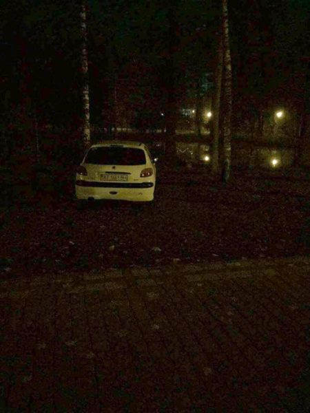 Оштрафували водія, який проїхав машиною до верхнього озера у міському парку (ФОТО)